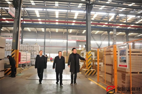 懷寧縣書記余學(xué)峰一行蒞臨寶潤(rùn)達(dá)參觀交流